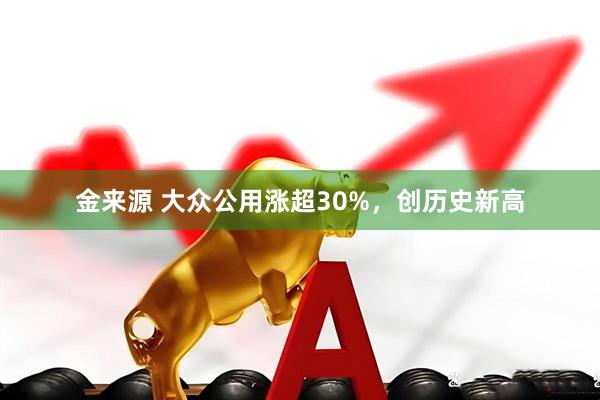 金来源 大众公用涨超30%，创历史新高